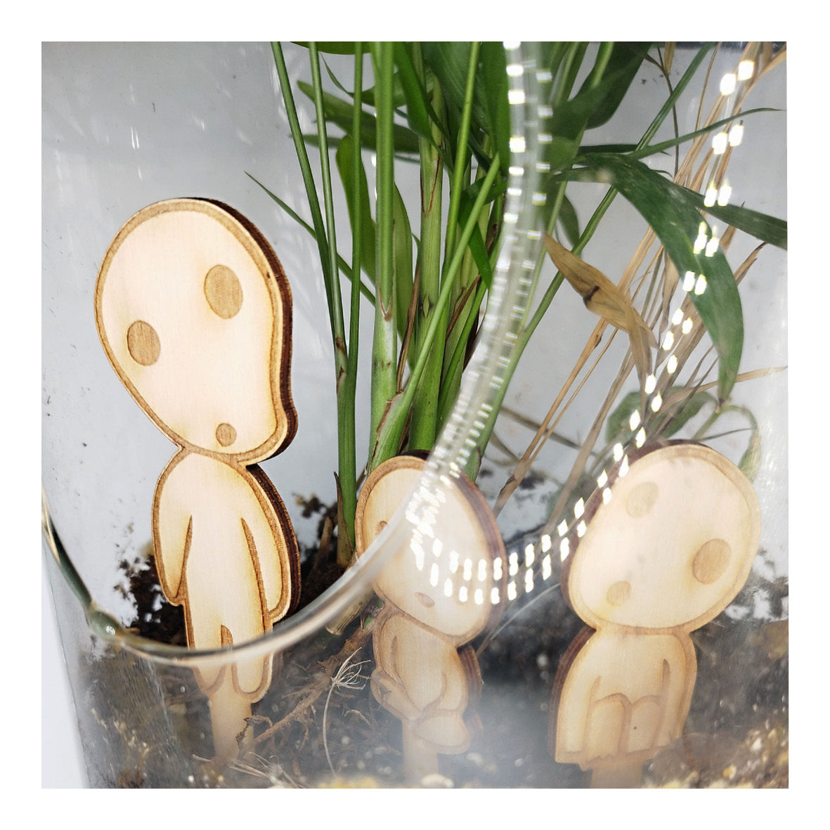 Kodama à planter