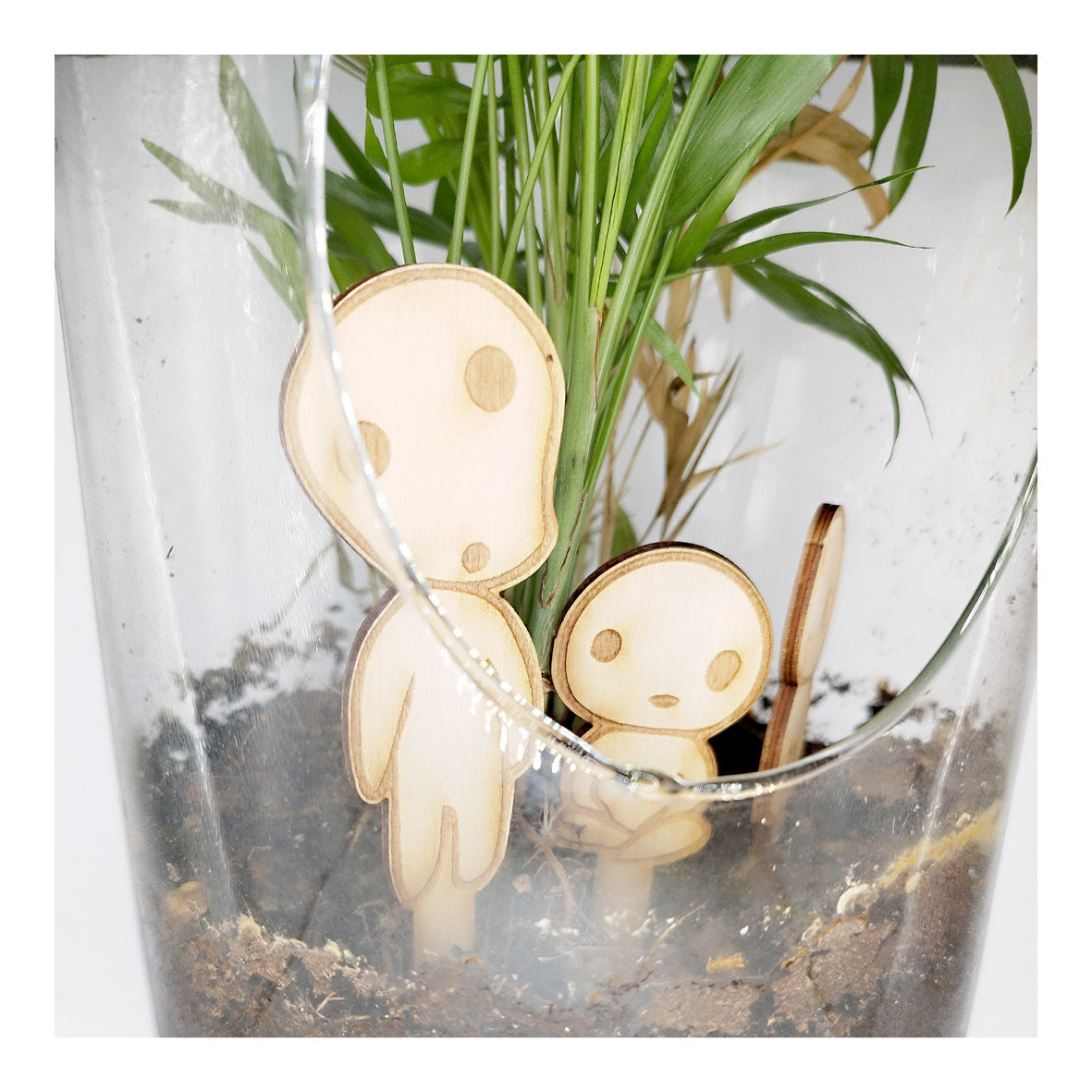 Kodama à planter