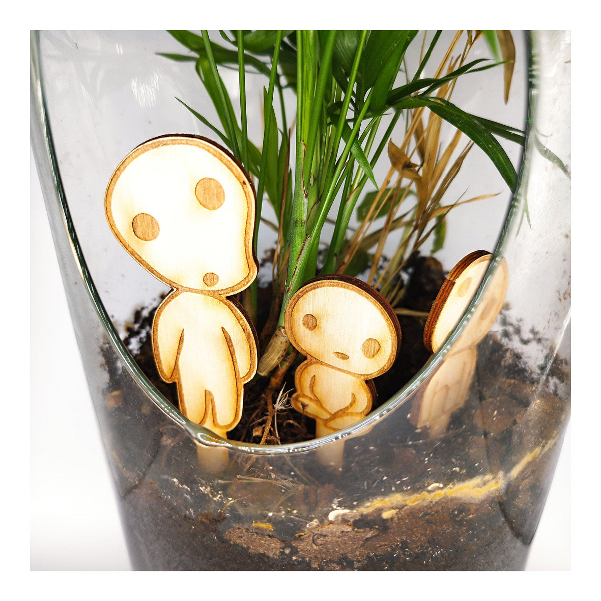 Kodama à planter