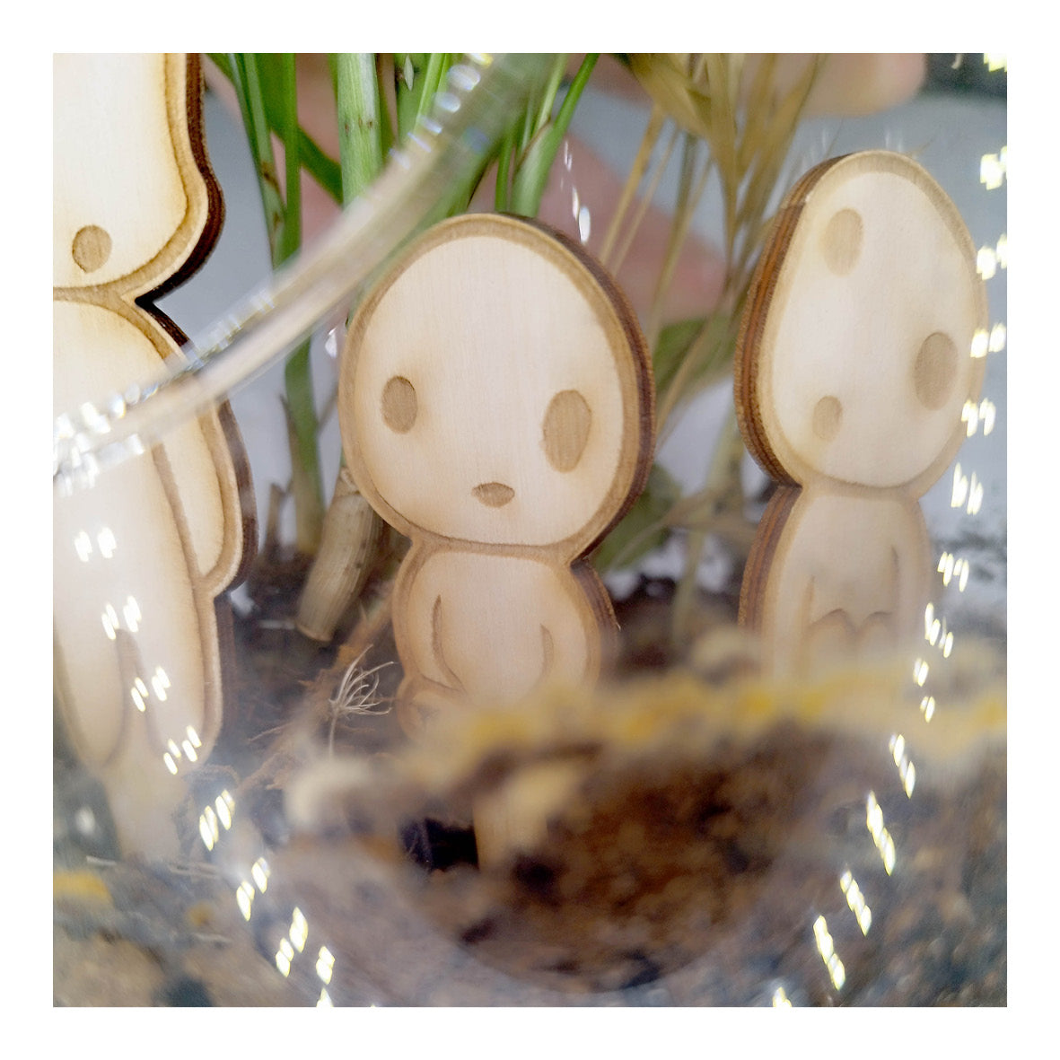 Kodama à planter