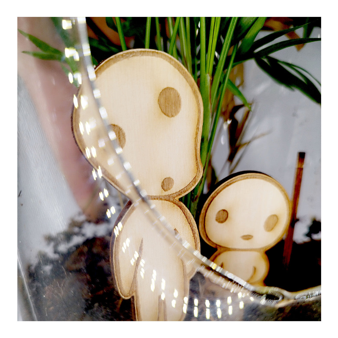 Kodama à planter