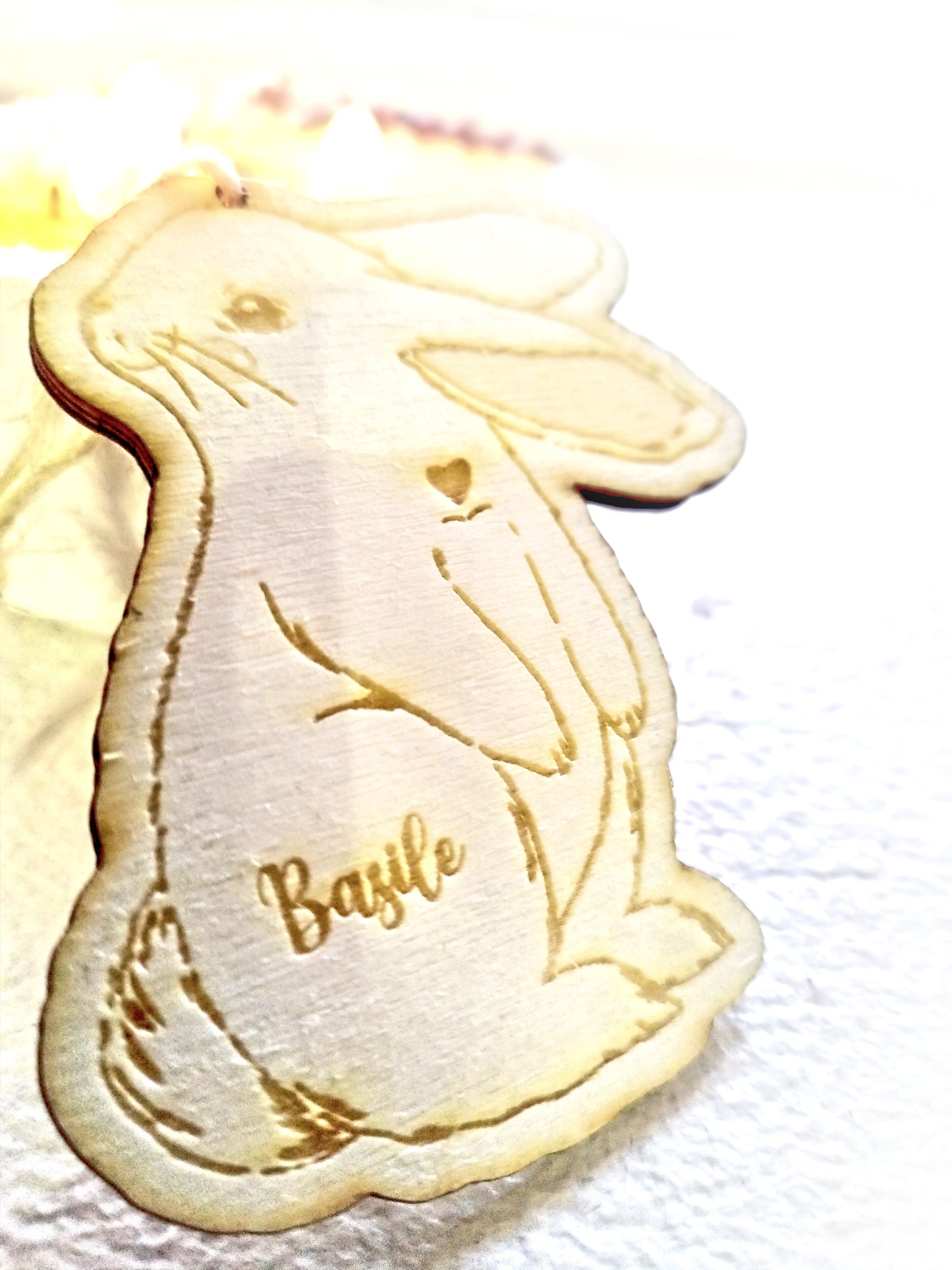 Lapin de pâques illustré