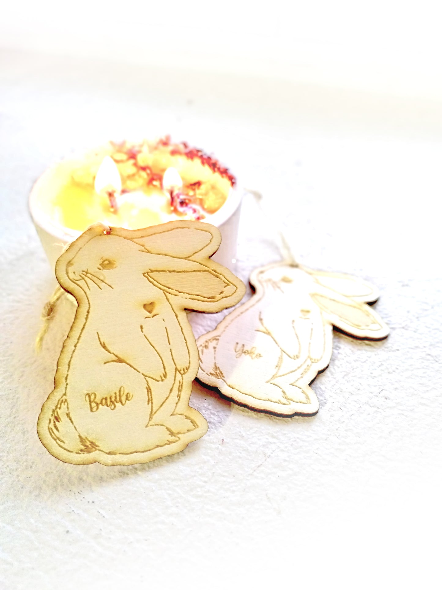 Lapin de pâques illustré