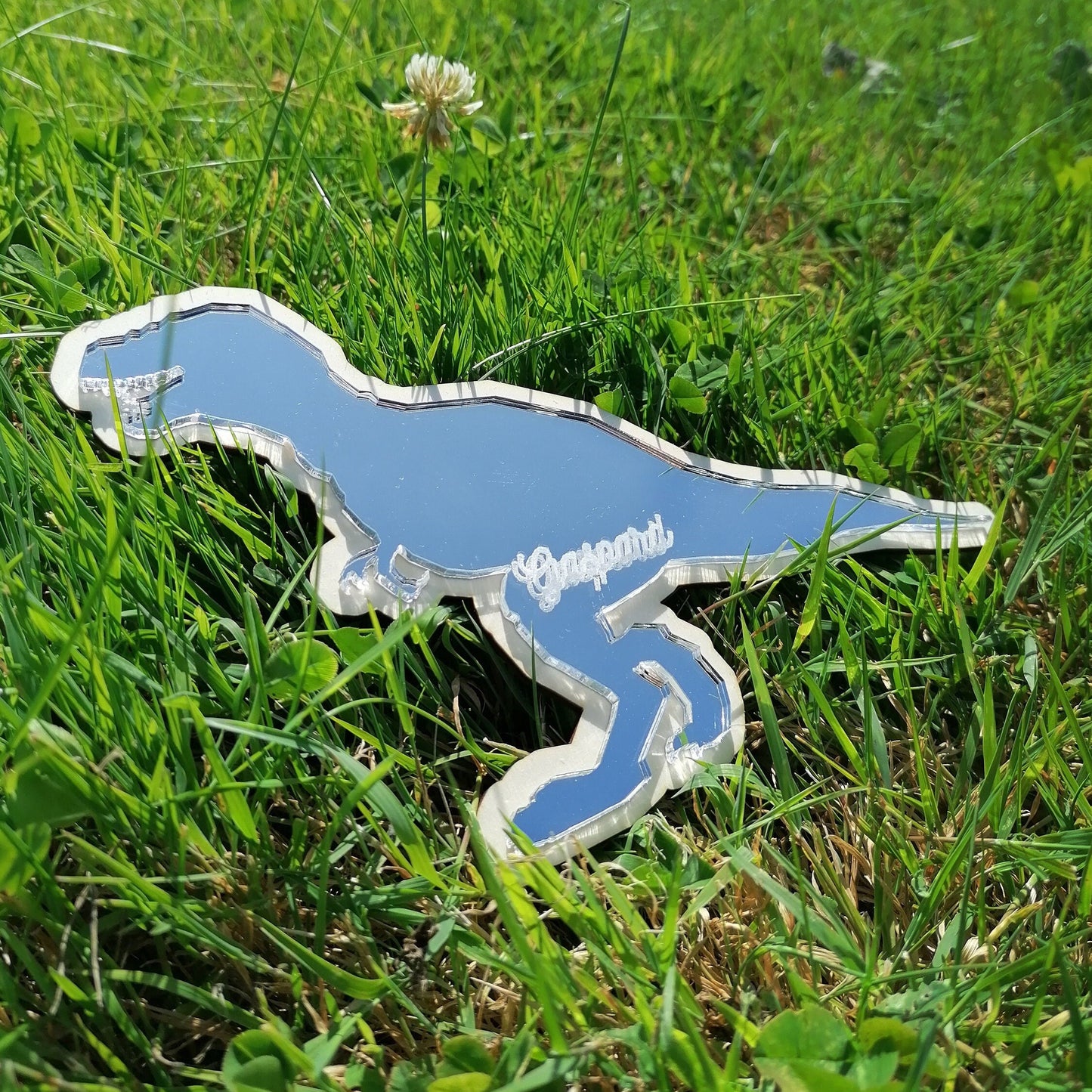 Miroir Tyrannosaure