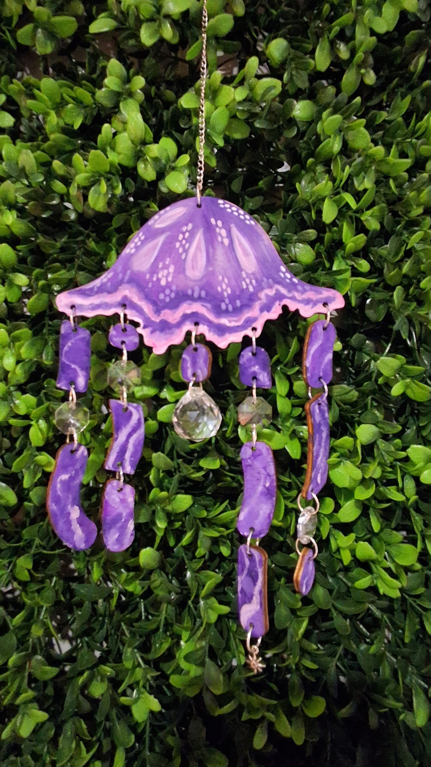 Kit attrape soleil Méduse