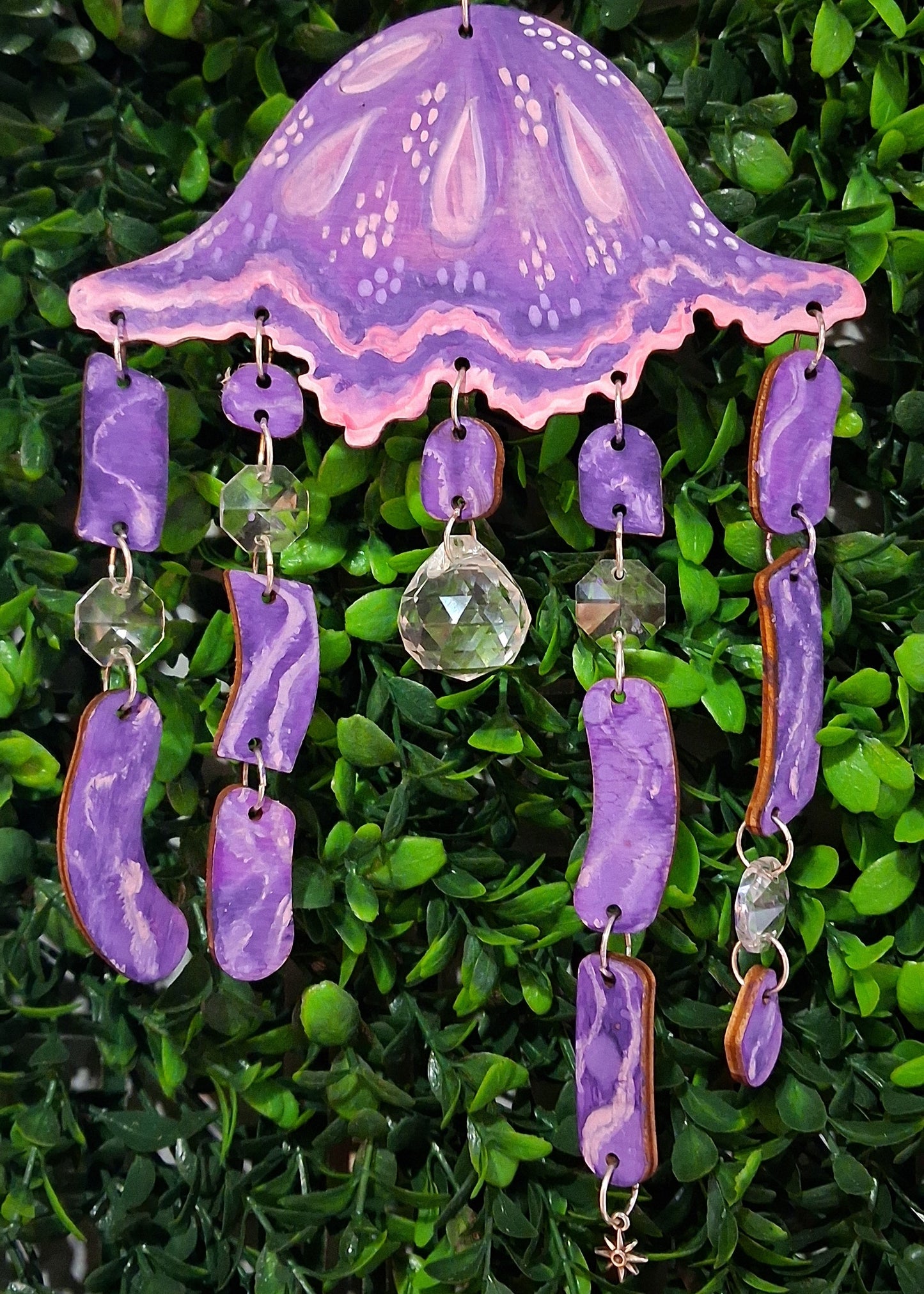 Kit attrape soleil Méduse